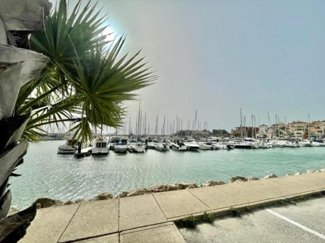 Gatu Sherry, Junto Puerto Deportivo Y Playa " Preferente Mayores De 25 Anos Y Familias " El Puerto de Santa María Εξωτερικό φωτογραφία